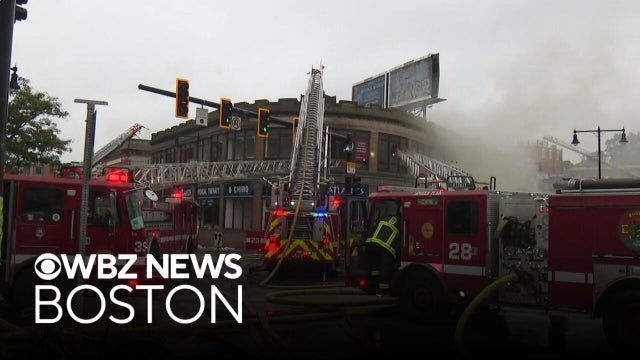 City of Boston rallies behind businesses destroyed in Nubian Square fire