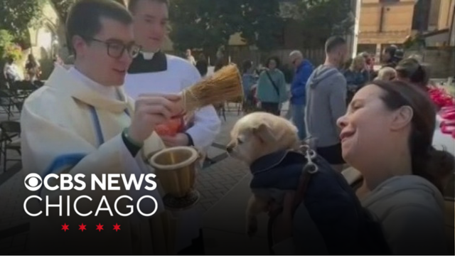 Holy Name Cathedral holds annual Blessing of the Pets