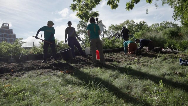 Community cleanup creates new adult friendships