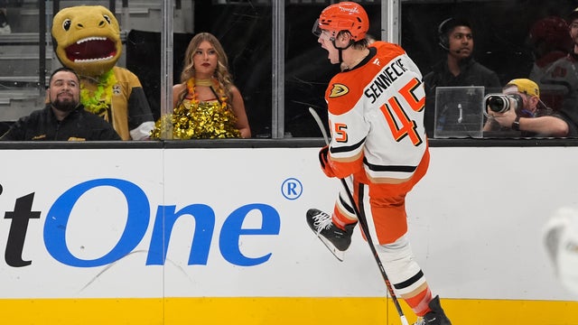 Ducks Golden Knights Hockey 