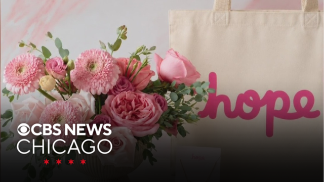 Campaigns benefiting Lynn Sage Breast Cancer Foundation run through October