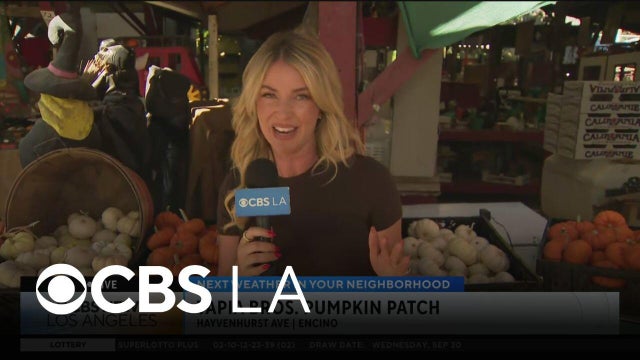 Pumpkin patch opens at Tapia Bros. Farm | Next Weather in Your Neighborhood