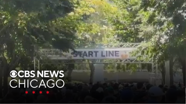 Chicago Walk to End Alzheimer&rsquo;s held in Lincoln Park