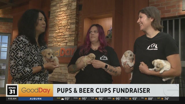 Pups & Beer Cups, 9am