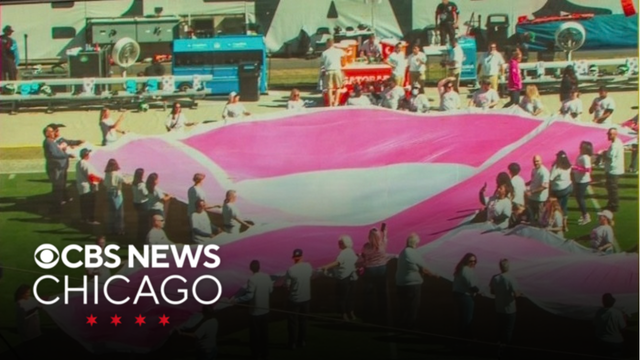 Advocate breast cancer patients honored at Bears-Jets game