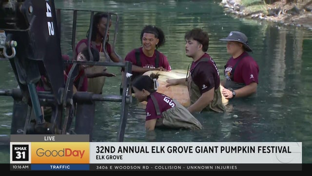 32nd Annual Elk Grove Giant Pumpkin Festival, 10am