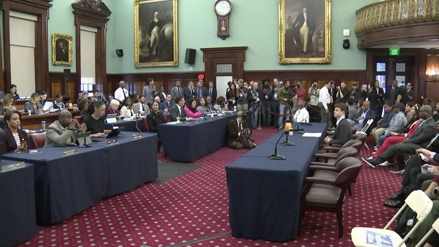 rozner-12p-vo-nyc-counc-wcbsj8o2-hi-res-still.jpg 