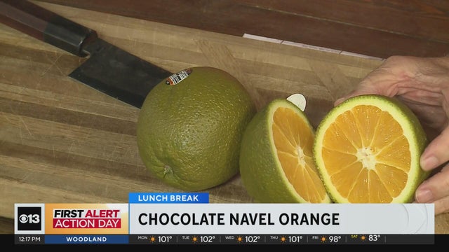 Chocolate navel oranges | Lunch Break with Michael Marks