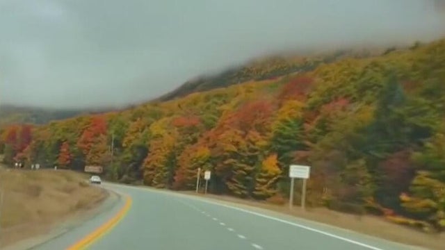 Leaf peeping: fall foliage is about to hit its peak
