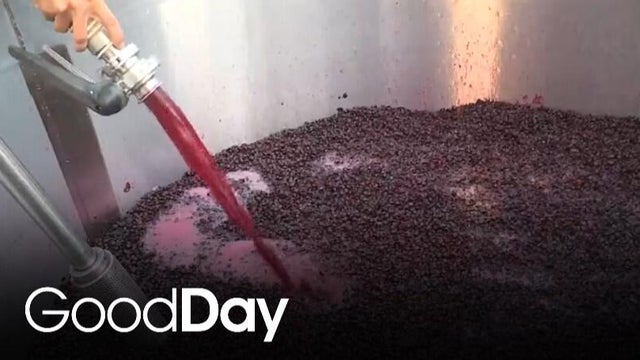 Cody's in Calistoga to check out one of California's most notable cult wines!