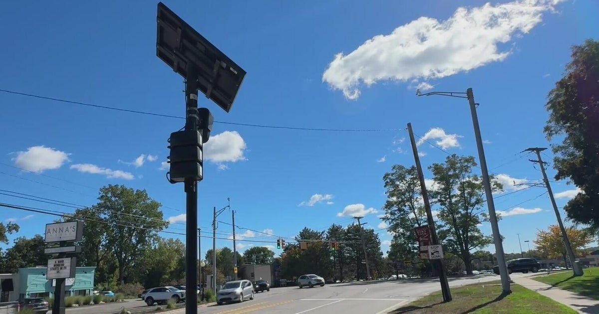 Milford Village Council to vote on renewing Flock contract