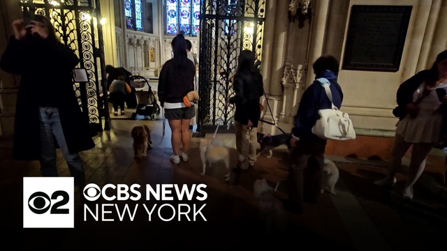 NYC church holds annual blessing of the animals