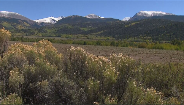 cielo-vista-ranch.png