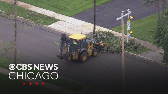 Cook County announces $8 million to clear debris from severe summer storms