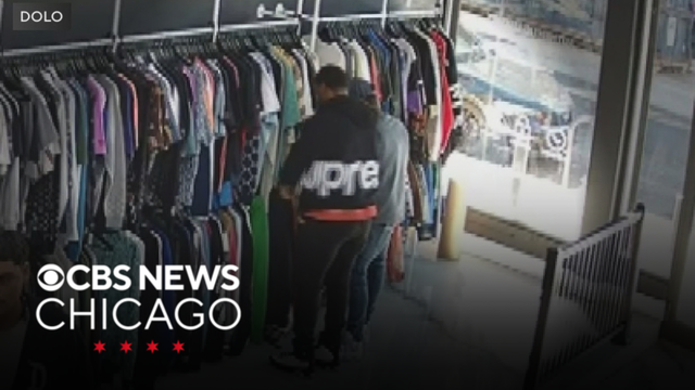 Owners trap shoplifters inside luxury store in Lakeview