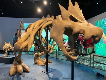 pokemon-exhibit-7.jpg