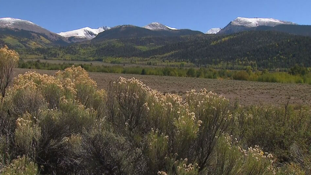 cielo-vista-ranch.png 