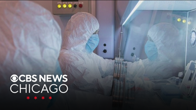 Scientist dies after being exposed to plague in Russia
