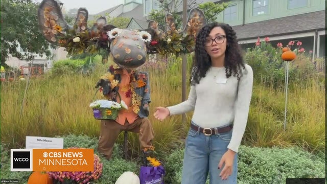 Scarecrows take over Scarecrow Hill at the Minnesota Landscape Arboretum this fall