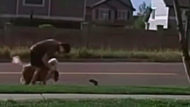 Douglas County deputies ask for help identifying dog owner after attack