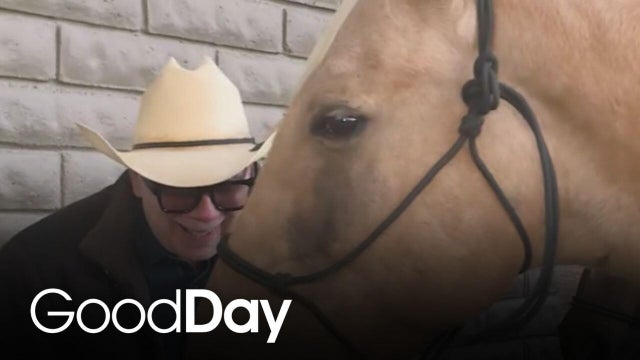 We&rsquo;re just horsing around | Dad Joke of the Day