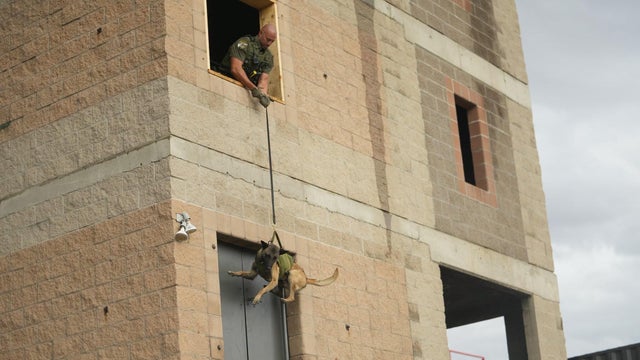 dougco-dog-repelling-1-dcso-copy.jpg 