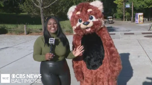 Around Town: Celebrate October with a month of events at the Maryland Zoo