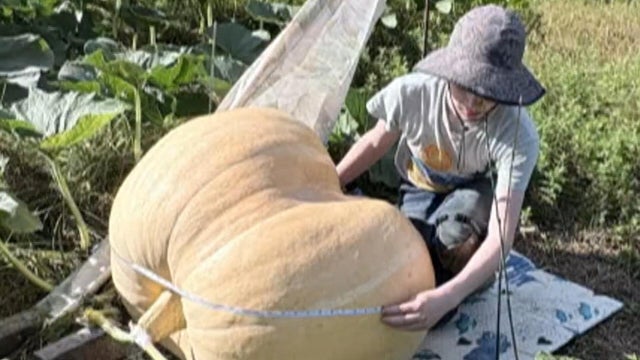 Christmas gift from grandma arrives for Halloween