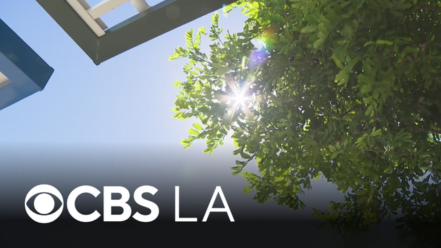 Los Angeles business owners say heat wave has affected their day-to-day operations