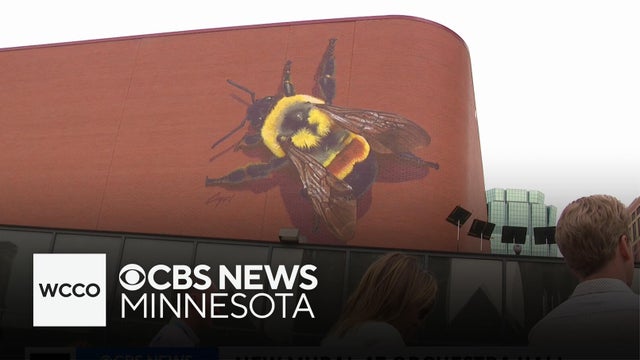 25-foot bee mural now covers the side of Orchestra Hall in Minneapolis