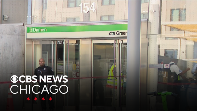 Person of interest in custody in stabbing death of CTA janitor at Damen Green Line station, police s