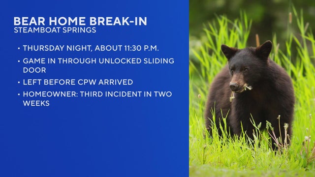 Bear sneaks into Colorado home through unlocked door