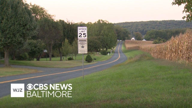 Harford County parents support bus driver removed after stopping to rescue kitten