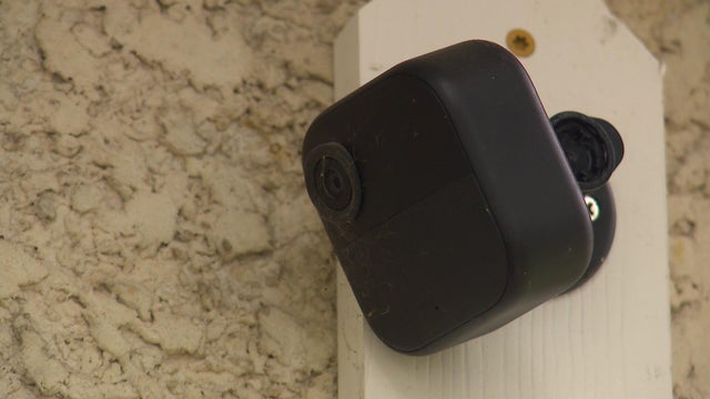 10p-pkg-u-of-m-serial-peeper-wccobfmc.jpg 