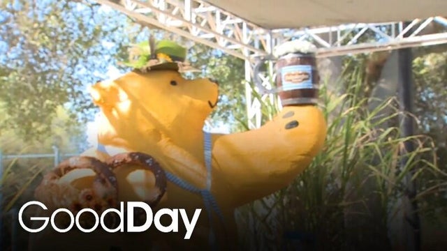 Brews, music & more at Saktoberfest