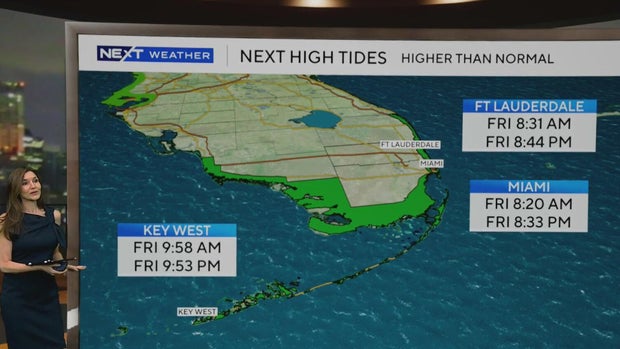 cbsmiami-king-tide-oct-9-2026.jpg
