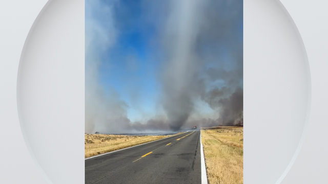 Sheriff's office in Northern Colorado shares video of fire whirl during recent grass fire
