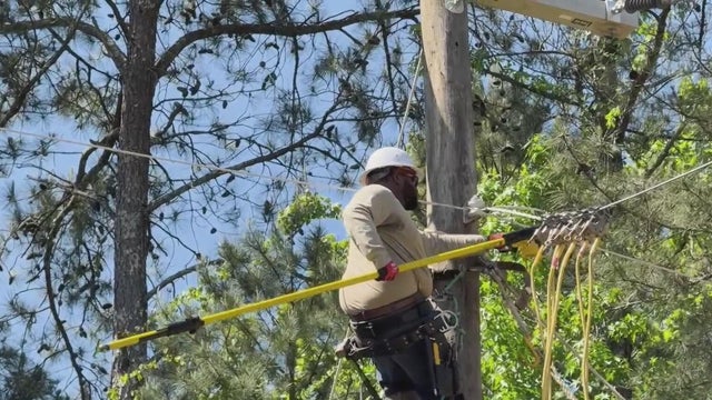 Preparing for Isaias: Atlanta tree hazards and power outage tips