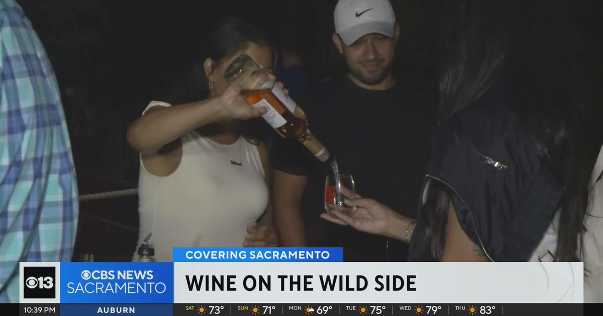 Sacramento Zoo hosts Wine on the Wild Side fundraiser