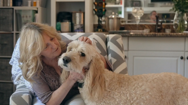 When 2 dogs went missing in a car crash, a volunteer spent weeks searching 
