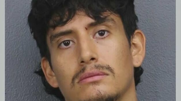 Man accused of stabbing, killing his own mother in Tamarac, BSO says