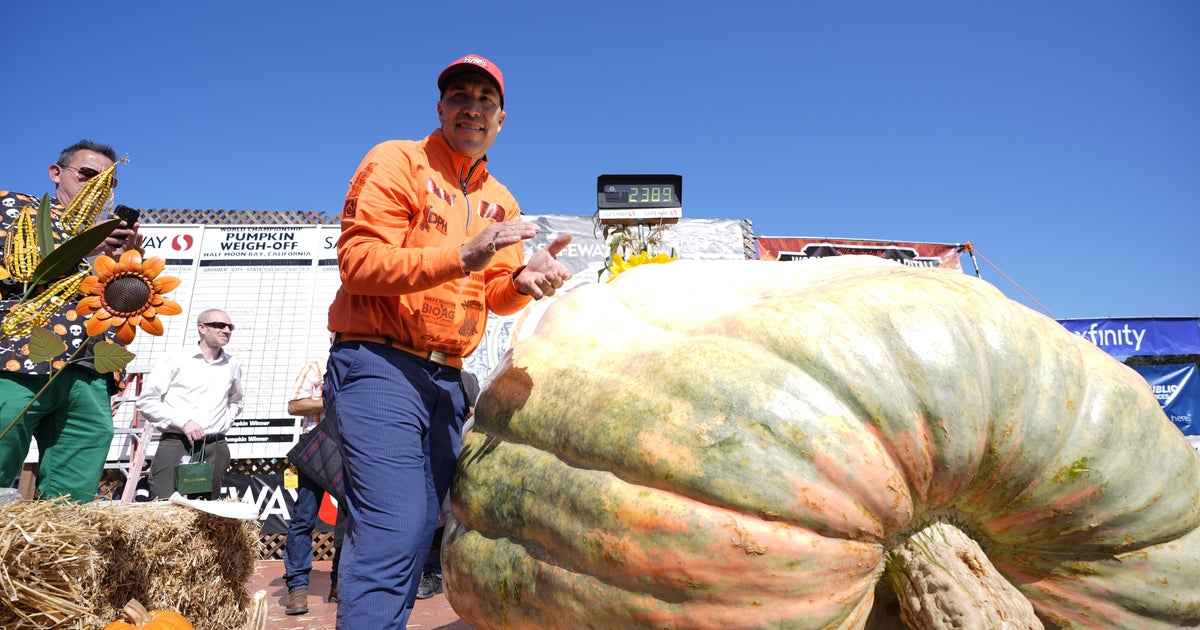Minnesota man drives hauls giant pumpkin over 2,000 miles to California ...