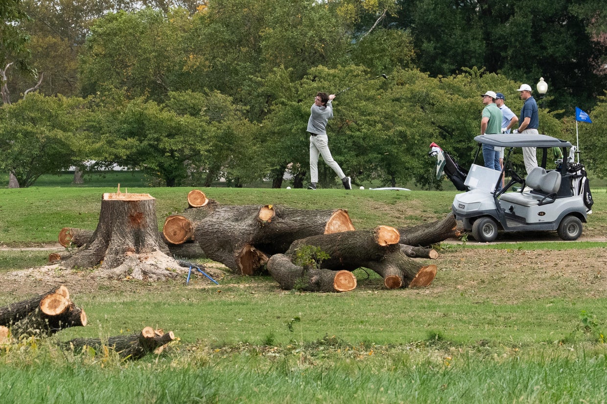 Felled trees are visible on East Potomac Golf Course on Oct. 10, 2026, in Washington, D.C.