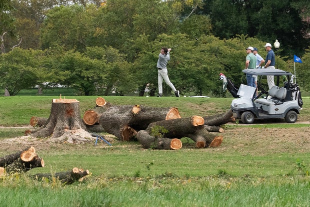 Felled trees are visible on East Potomac Golf Course on Oct. 10, 2026, in Washington, D.C.