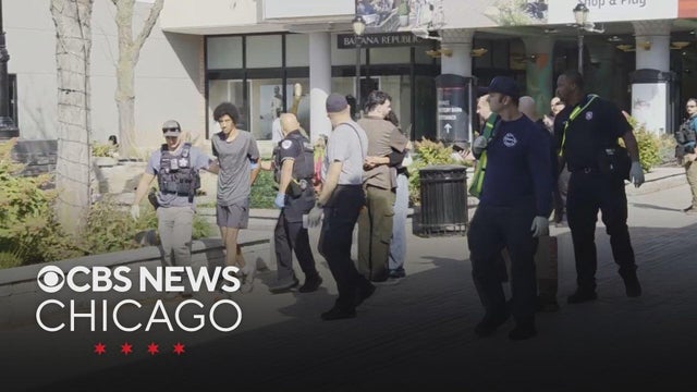 Man attacked woman, held her head underwater at Old Orchard shopping mall, police say