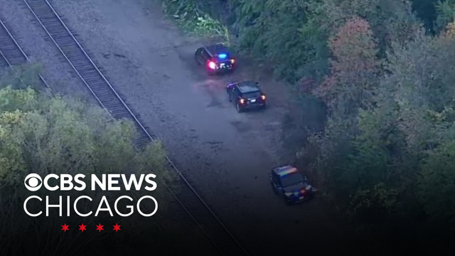 Metra BNSF line service resumes after man hit, killed by train in Naperville