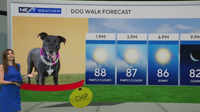 Comfortable conditions spread across South Florida before storm chances return later this week