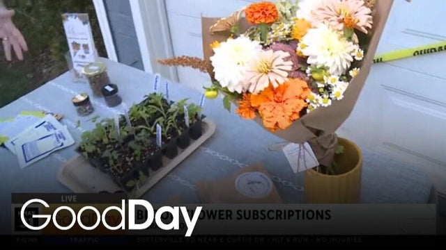 Bloom, a family-owned Sacramento flower farm!