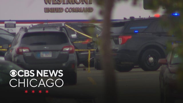 Robbery planned by Chicago woman backfired, led to Oakbrook mall shooting: prosecutors