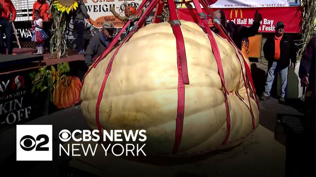 Pumpkin growers compete in world championship weight off